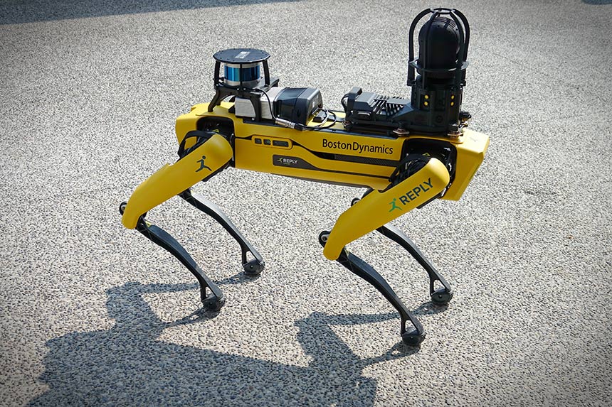 Automated Dogs